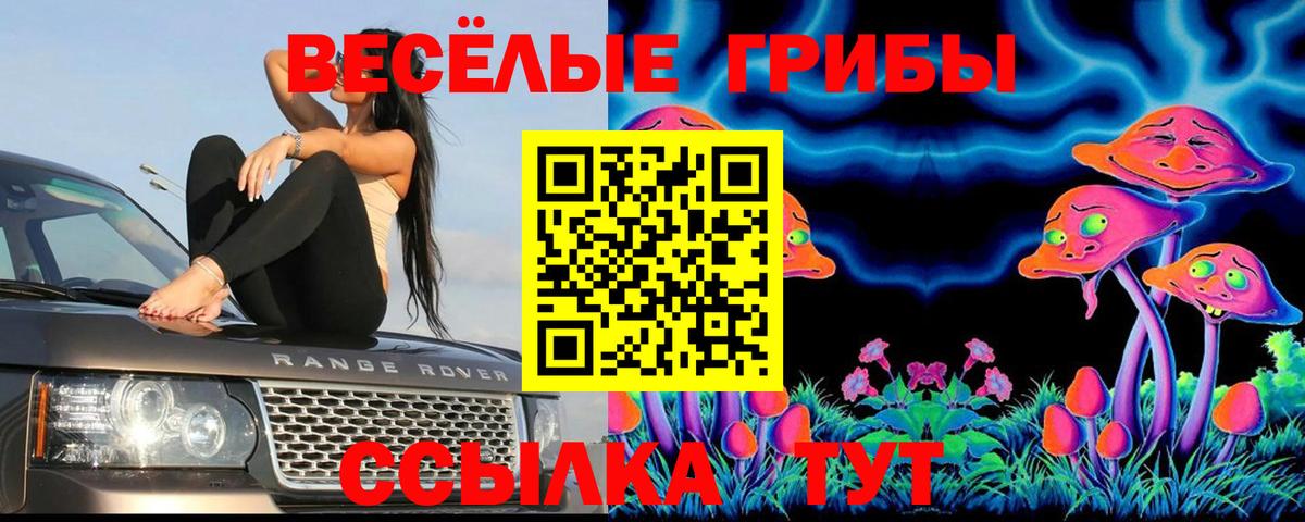 Псилоцибиновые грибы мухоморы Ачхой-Мартан
